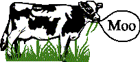 Drawing:  Cow saying "moo" 