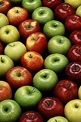 Photo:  Alternating rows of red and green apples