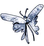 butterfly NIIW logo