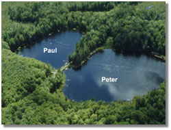 image of study lakes