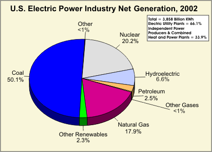 This pie chart is divided into  eight different fuel areas for the U.S. electric power industry's net generation for 2002