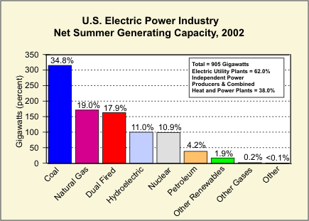 This is a bar chart  depicting the U.S. electric power industry's net summer generating capacity for 2002