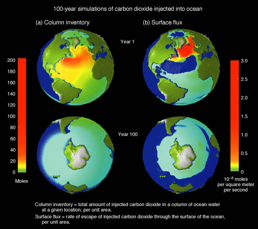 100-year simulations of carbon dioxide injected into ocean
