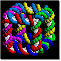 representation of a DNA cube shows that it contains six different cyclic strands