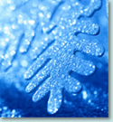 Photo showing detail of a snowflake.