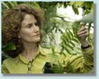 Kathleen Pryer studying ferns.