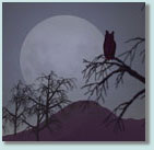 Image of owl and full moon