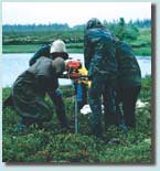 Photo of scientists drilling into frozen Siberian peat bogs.