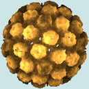 Rendered image of the protein shell that surrounds monkey cancer virus Simian Virus SV40
