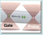 Part of graphic depicting the region of the capillary where the first laser -gate- induces a photoreaction of the original molecule and the second laser -probe- excites the transient molecules to fluoresce.