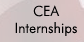 CEA Internships