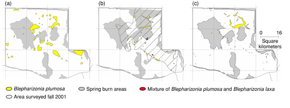 Site 300 maps showing burned populations of the big tarplant for the years 2000, 2001, and 2002.