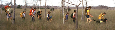 Kids hike along the Florida National Scenic Trail in the Big Cypress National Preserve.  (Photo courtesy Florida Trail  Association)
