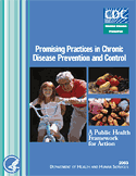 Cover of the Promising Practices publication