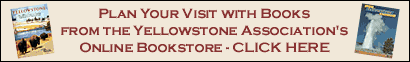 The Yellowstone Association has an online bookstore where you can purchase books to help you plan your visit.