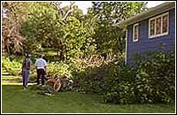 Photo of two people moving tree branches from around a house.