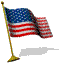 Waving USA Flag