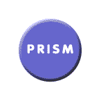 PRISM: Program Review Instrument for Systems Monitoring