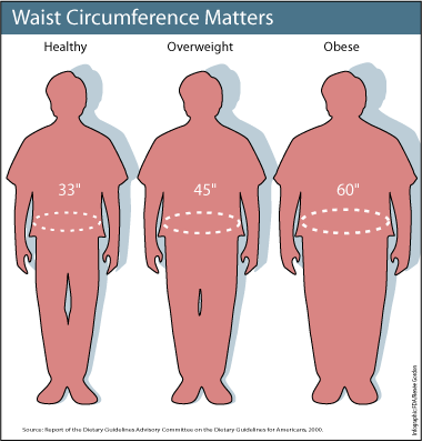 Waist Circumference Matters: 33 inches is healthy, 45 is overweight, 60 is obese