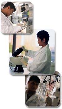 (photo montage: doctor writing on a clipboard while examining a device, woman working with a devuce, doctor adjusting an IV drip)