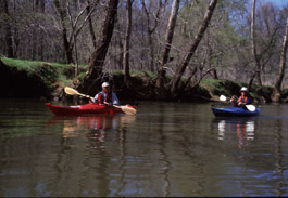 Kayaking on the Eno River