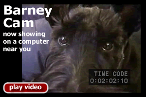 Barney Cam, now showing on a computer near you.