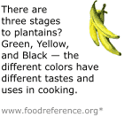 There are three stages to plantains? Green, Yellow, and Black ?the different colors have different tastes and uses in cooking. Over 700 million pounds of mustard are consumed worldwide each year. Plantains are known as the cooking bananas. The Mustard Museum is in Mount Horeb, Wisconsin. It has the world's largest collection of mustards, with over 3,500 varieties. Kale is a hardy and hearty green, and has been cultivated for over 2,000 years.