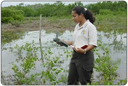 Silmarie Padron Santiago is a Biologist with FWS working with Ecological Services in Boqueron, Puerto Rico