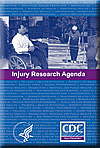 cover of injury research agenda