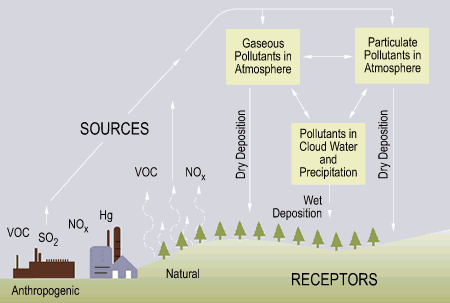 Image showing dry and wet deposition of acid rain