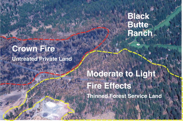 An aerial photo of two sections of forest land that has been burned. The top left side has the more heavily burned area outlined and it reads, “Crown Fire Untreated Private Land.” The lower right side is outlined showing the less burned area and reads,” Moderate to Light Fire Effects, Thinned Forest Service Land.” At the top right corner of the photo is a subdivision labeled Black Butte Ranch. 