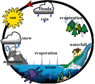 The Water Cycle: Animated
