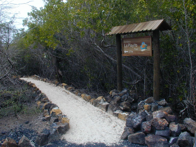 Ecotourism Paths Activity in Isabela, Galapagos