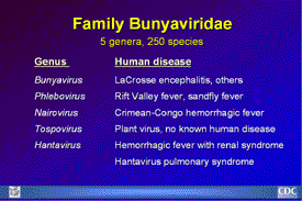 Slide 2:  Family Bunyaviridae