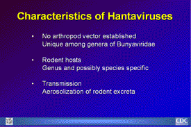 Slide 3: Characteristics of Hantaviruses