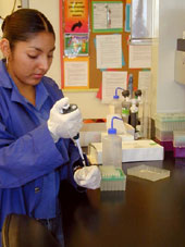 Marlyn Jacobo uses a pipette