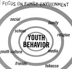 Bullseye diagram of Focus On Family Environment. Youth Behavior in the center with social, school, family, religion, media, tobacco, friends, and youth culture scattered around.