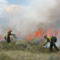 Firefighters with drip torches during a prescribed fire