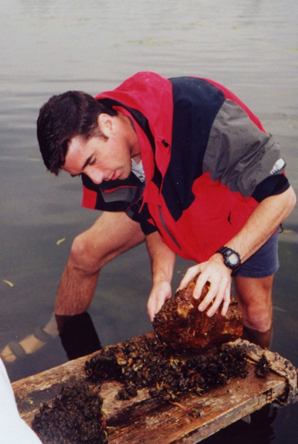 Jonathan Wilker collecting zebra mussels