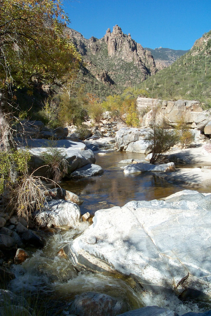 Sabino Creek, Arizona