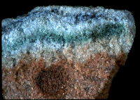 Limestone containing microscopic life(blus band)