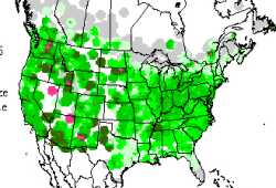 U.S. map overlaid with bird distribution data