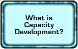 What is Capacity Development?