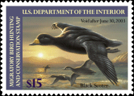 graphic of Federal Duck Stamp