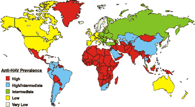 Global anti-HAV prevalence