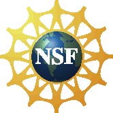 9KB NSF logo
in color, .jpg format