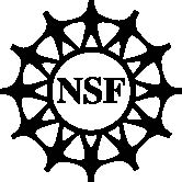 NSF
logo, black letters on white center 