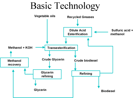 A flow diagram of the biodiesel production process; each step in the flow diagram is described in the text that follows.