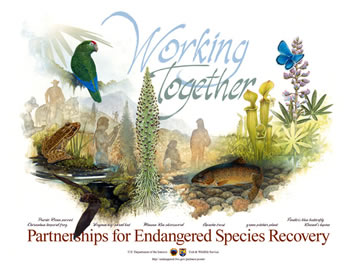 Image of Working Together: Partnerships for Endangered Species Recovery poster.