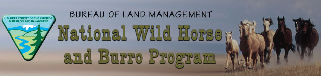 BLM National Wild Horse and Burro Program